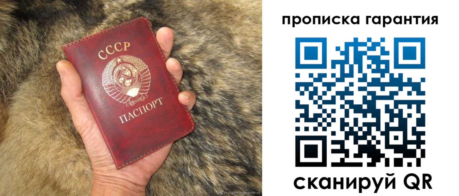 временная регистрация гарантия в Архангельской области